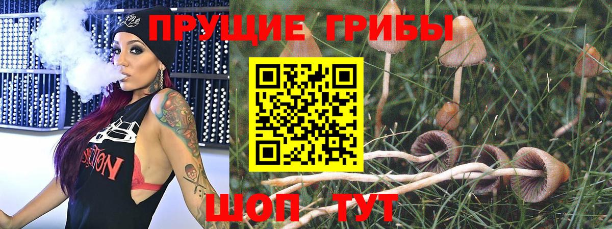 цены   Галлюциногенные грибы ЛСД  Щёлково  Вход с VPN  Псилоцибиновые грибы Cubensis 