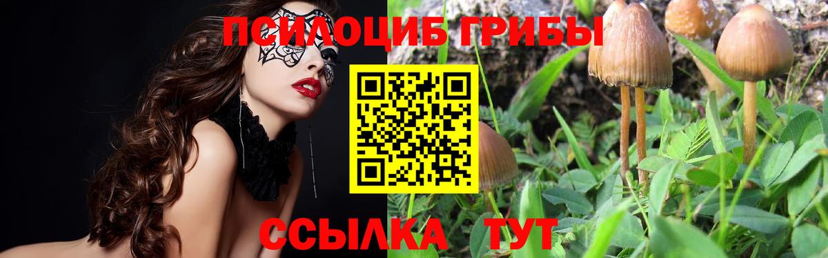 Псилоцибиновые грибы MAGIC MUSHROOMS Щёлково